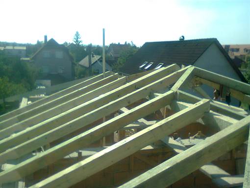 Roof rafters