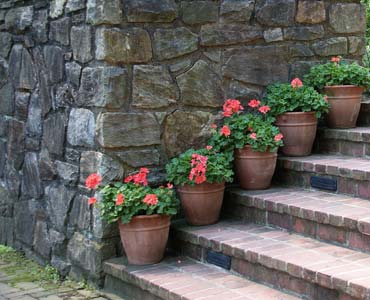 Steps up to the entrance in garden